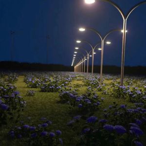 Chine老头勃起视频
