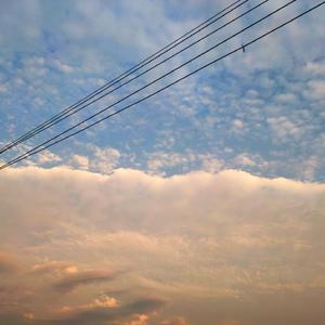 Chine老头勃起视频
